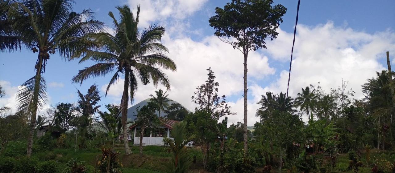 Talaga Tomohon Home Stay And Fishing Pond מראה חיצוני תמונה