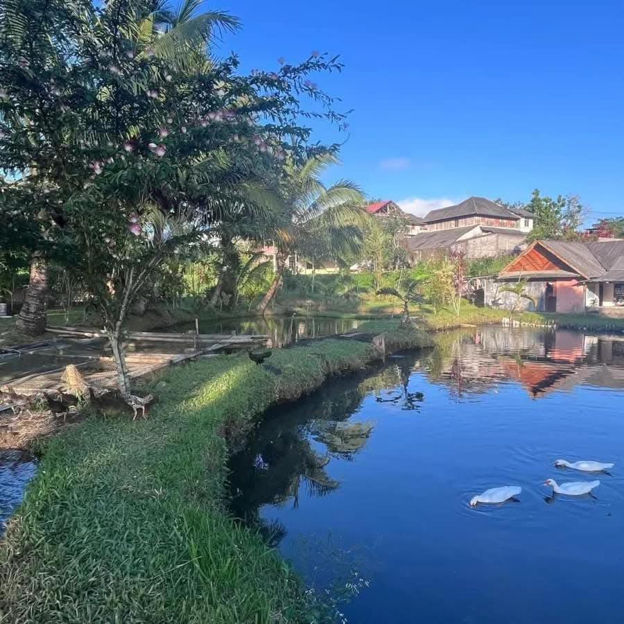 Talaga Tomohon Home Stay And Fishing Pond מראה חיצוני תמונה