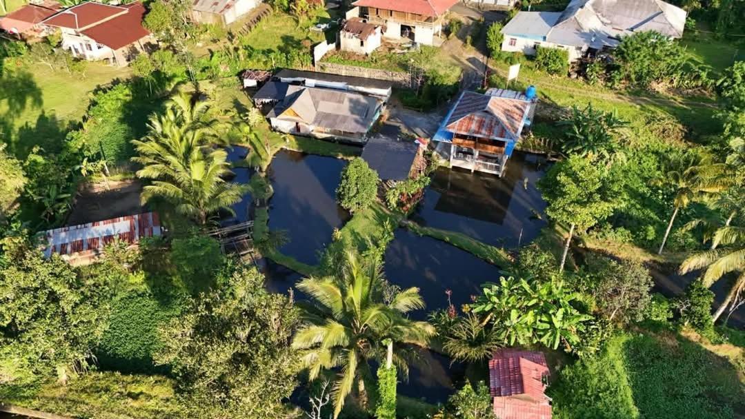 Talaga Tomohon Home Stay And Fishing Pond מראה חיצוני תמונה